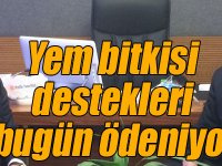 Yem bitkisi destekleri bugün ödeniyor