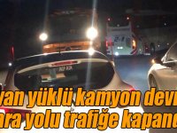 Hayvan yüklü kamyon devrildi, kara yolu trafiğe kapandı!