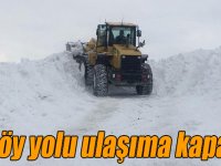 Kars'ta 57 köy yolu ulaşıma kapandı