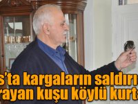 Kars’ta kargaların saldırısına uğrayan kuşu köylü kurtardı