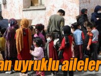 Kars Belediyesi, Afgan uyruklu aileleri unutmadı