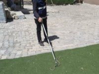 Ağrı’da evin bahçesine giren yılan yakalanıp doğaya bırakıldı