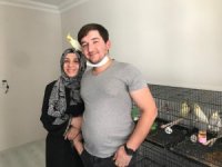 Sevgileriyle birlikte papağanları da arttı