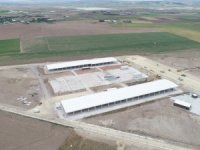 Gölbaşı Belediyesi, Kurban Bayramı için hazırlıklarını tamamlıyor
