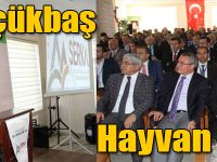 Kars'ta Küçükbaş Hayvan Çalıştayı!