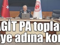 Arslan, AGİT PA toplantısında Türkiye adına konuştu