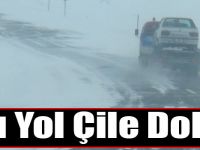 Digor Yolu Çile Dolu!