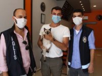 Amasya’da kaybolan kedi Çorum’da bulundu