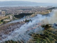 Çevreyi temizlemek isterken 20 dönümlük ormanı yaktı