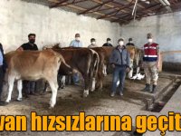 Kars jandarmadan hayvan hızsızlarına geçit yok