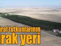 Bozkırın ortasındaki ‘vaha’ havadan görüntülendi