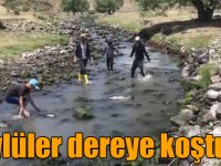 Kars’ta balık tutmak için dereye koştular