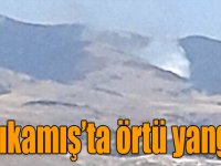 Sarıkamış’ta örtü yangını
