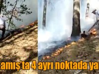 Sarıkamış’ta 4 ayrı noktada yangın!
