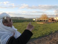 Ardahan'da Hortum Evlerin Çatısını Uçurdu