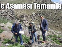 Proje Aşaması Tamamlandı!