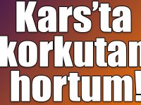 Kars’ta korkutan hortum!