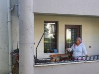 Ağaçları kurutan kelebek şimdi de binaları tehdit ediyor