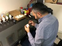 Tavuk yumurtasından sanata giden bir yol