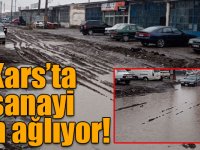 Kars’ta sanayi kan ağlıyor!