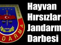 Digor'da Hayvan Hırsızlarına Jandarma Darbesi
