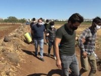 Siverek’te 17 düzensiz göçmen yakalandı
