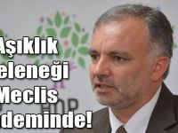 Aşıklık Geleneği Meclis Gündeminde!