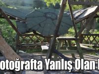 Vicdansızlar Kent Ormanında Kamelya'yı Kırdılar