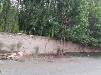 Iğdır'da Kopan Elektrik Kablosu Faciaya Neden Oluyordu