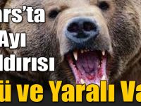 Kars'ta Ayı Saldırısı: 2 Ölü, 2 Yaralı