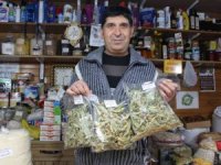 Gribe kalkan ıhlamurun kilosu 400 lira