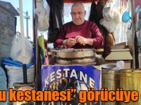 Kars’ta “kuzu kestanesi” görücüye çıktı