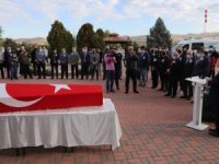 Öğretim Üyesi Betül Dürgen kansere yenildi