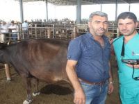 Iğdır’da Kurbanların Gebelik ve Diş Testi
