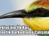 Türkiye’nin İlk Kuş Genetik Barkodlama Çalışması