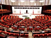 TBMM'den 'Portre' Açıklaması