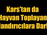 Kars'tan da Hayvan Toplayan Dolandırıcılara Darbe!