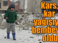 Kars, kar yağışıyla bembeyaz oldu