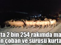 Kars'ta 2 bin 254 rakımda mahsur kalan çoban ve sürüsü kurtarıldı