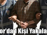 Digor’da Terör Örgütüne Üye Olmak Suçundan Aranan Bir Kişi Yakalandı