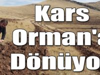 Kars Orman'a Dönüyor!