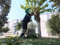 Efeler’de çevre düzenlemesi aralıksız devam ediyor