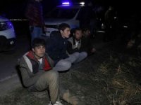 Kaçak göçmen taşıyan minibüs polisten kaçarken pamuk tarlasına devrildi