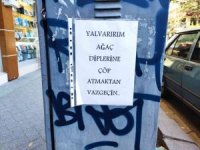 Ağaç diplerine çöp bırakılmaması için yalvardı