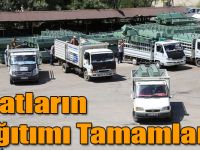 Sıvatların Dağıtımı Tamamlandı