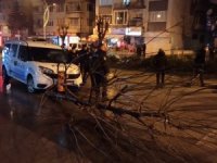 Kavga ihbarına giden polis otoları kaza yaptı: 2 yaralı