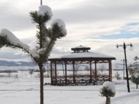 Ardahan Buz Tuttu