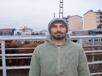 Iğdır’da Çiftçilere Büyükbaş Hayvan Dağıtımı