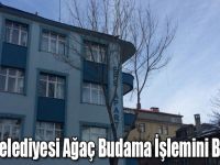 Kars Belediyesi Ağaç Budama İşlemini Başlattı