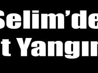 Selim’de Ot Yangını